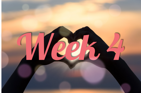 4 Week Union Alignment Program - Week 4