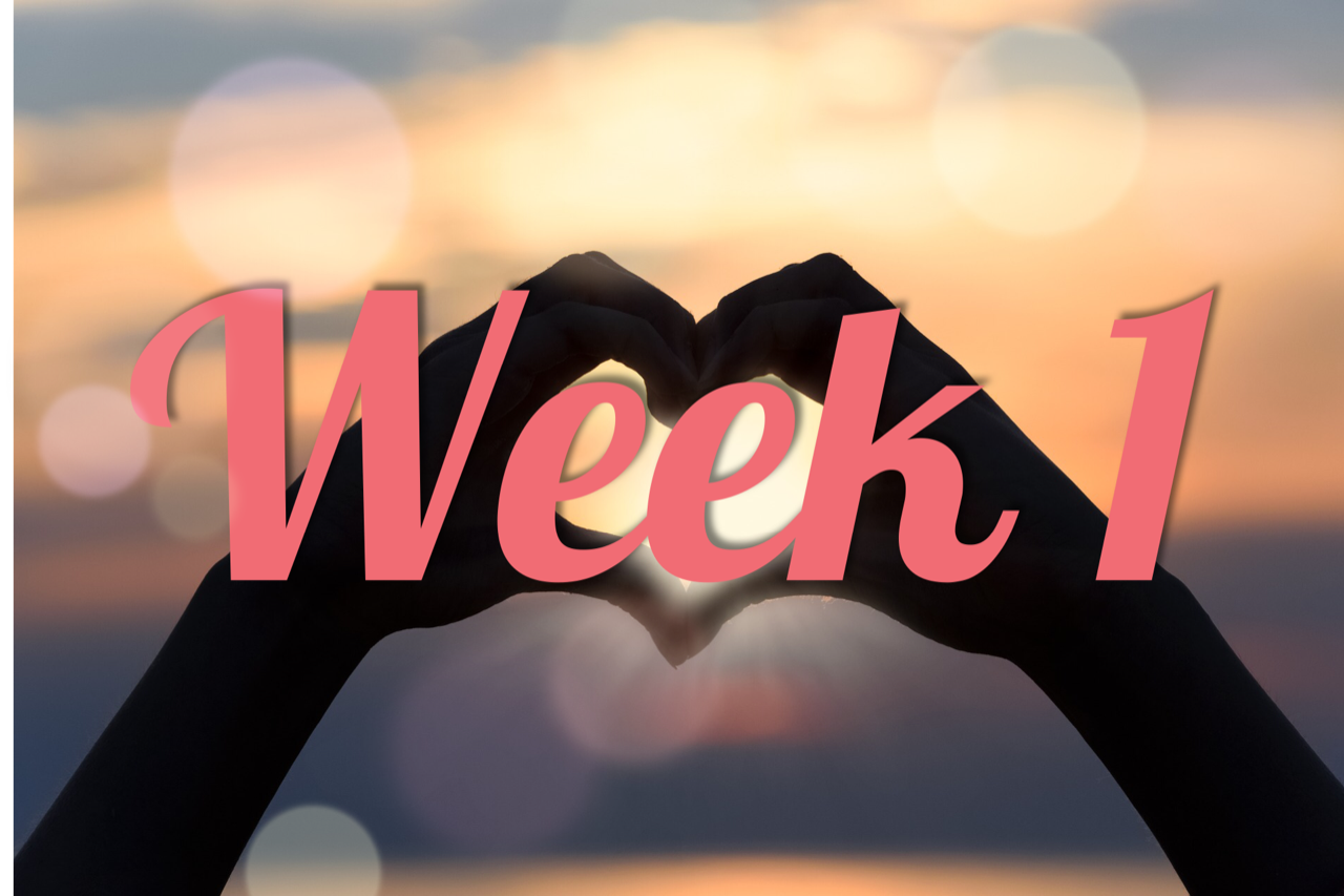 4 Week Alignment Program - Week 1