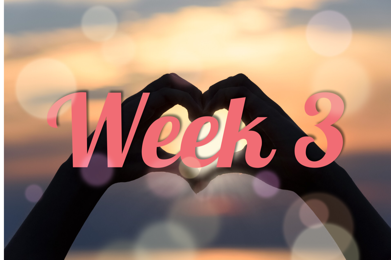 4 Week Union Alignment - Week 3